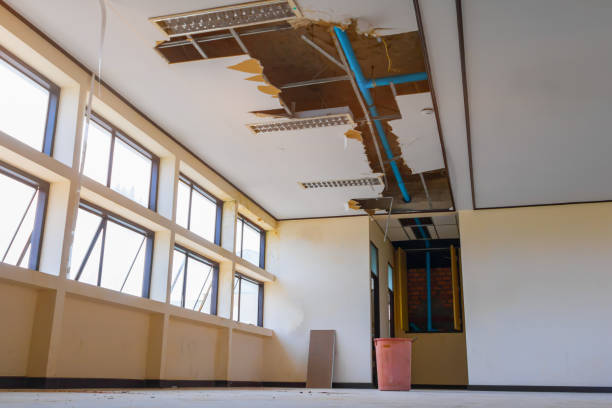 Best Water damage cleanup near me  in Fort Denaud, FL