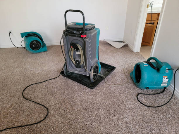 Best Water damage restoration near me  in Fort Denaud, FL