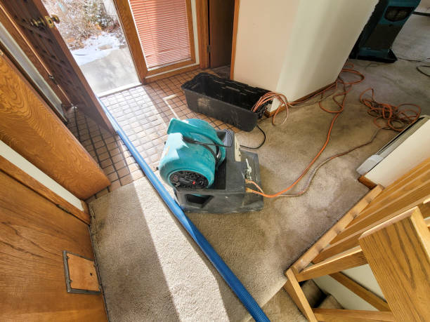 Best Emergency water damage restoration  in Fort Denaud, FL
