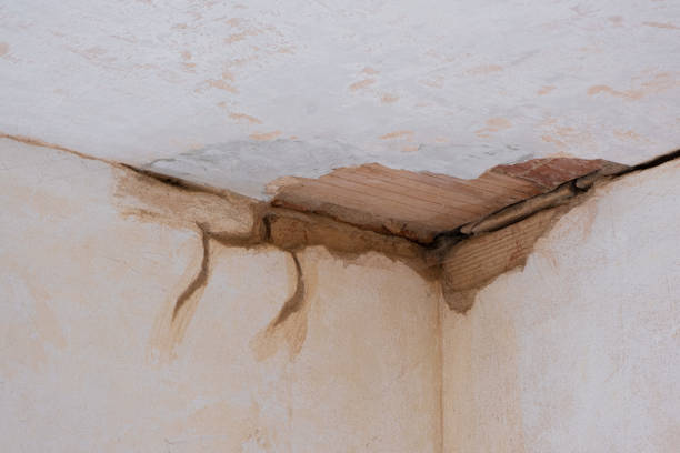  Fort Denaud, FL Water damage restoration Pros