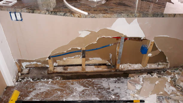 Best Water damage restoration near me  in Fort Denaud, FL
