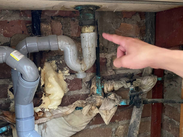 Best Water damage contractors near me  in Fort Denaud, FL