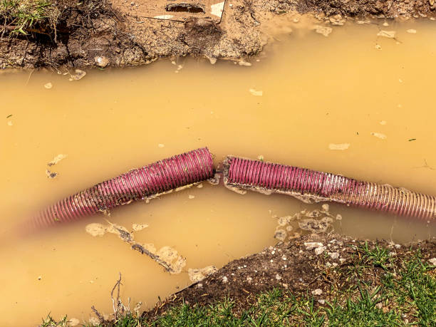 Best Water damage restoration company  in Fort Denaud, FL